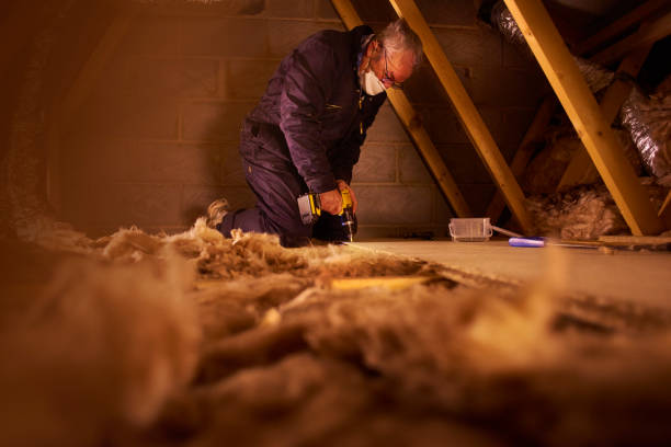 Best Commercial Insulation Services  in Monona, IA